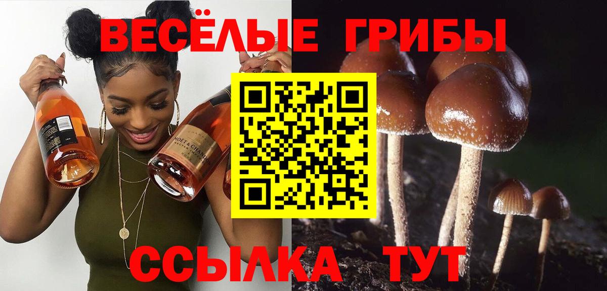 Галлюциногенные грибы GOLDEN TEACHER  Вход с VPN  Владивосток 