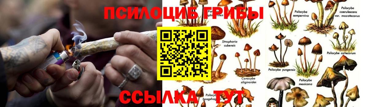 Галлюциногенные грибы MAGIC MUSHROOMS Владивосток